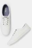 Roadster White Canvas Regular Sneakers Men