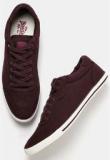 Roadster Wine Sneakers Men