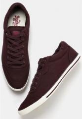 Roadster Wine Sneakers men