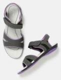 Roadster Women Grey & Purple Sports Sandals