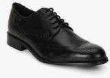 Ruosh Black Derby Brogue Formal Shoes Men