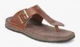 Ruosh Brown Buckled Slippers Men