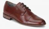 Ruosh Cherry Derby Formal Shoes Men