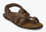 Ruosh Tan Sandals Men