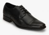 Ruosh Veneto Black Derby Brogue Formal Shoes Men