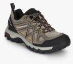 Salomon Evasion 2 Aero Brown Trekking Shoes Men