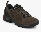 Salomon Evasion 2 Ltr Brown Outdoor Shoes Men