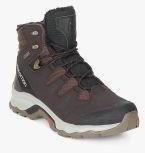 Salomon Quest Winter Gtx Brown Outdoor Shoes Men