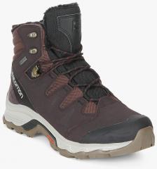 Salomon Quest Winter Gtx Brown Outdoor Shoes men