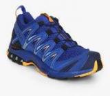 Salomon Xa Pro 3D Surf The W/Medieval B/Br Blue Running Shoes Men