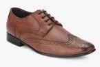 San Frissco Brown Brogues Men