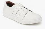 San Frissco White Sneakers Men