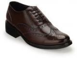 Sanfrissco Brown Dress Shoes Men