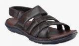 Shoe Bazar Brown Sandals Men