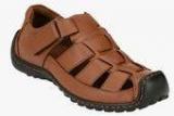 Sir Corbett Brown Sandals Men