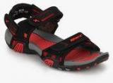 Sparx Black Floaters Men