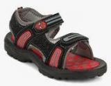 Spiderman Black Sandals Boys