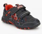 Spiderman Navy Blue Sneakers Boys