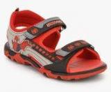 Spiderman Red Sandals Boys