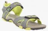 Spinn Grey Sandals Men