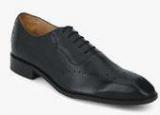 Steve Madden Autumn Black Brogue Oxford Formal Shoes Men