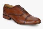 Steve Madden Brown Formal Shoes Men