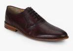 Steve Madden Burgundy Formal Shoes Men