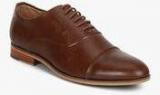 Steve Madden Dycon Brown Oxford Formal Shoes Men