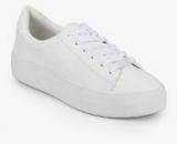 Steve Madden Gladis White Casual Sneakers Women