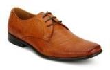 Steve Madden Havin Tan Formal Shoes Men