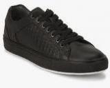 Steve Madden Kasteli Black Sneakers Men