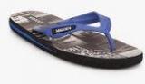 Steve Madden M Feele Blue Flip Flops Men