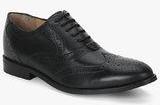 Steve Madden Maarshal Black Brogue Oxford Formal Shoes Men