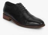 Steve Madden Tyson Black Formal Shoes Men