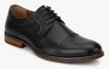 Steve Madden Valencio Black Brogue Formal Shoes Men