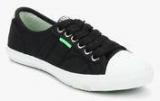 Superdry Low Pro Black Casual Sneakers Women