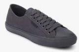 Superdry Low Pro Sleek Grey Sneakers Men