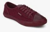 Superdry Maroon Low Pro Luxe Casual Sneakers Men