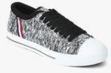 Superdry Mono Storm Knit Pro Grey Sneakers Men