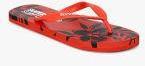 Superdry Red Printed Thong Flip Flops Men