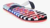 Superdry Stripe Navy Blue Flip Flops Women