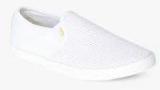 Superdry Swimmer Slip On White Sneakers Men