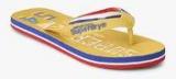 Superdry Track & Field Yellow Flip Flops men