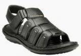 Teakwood Black Sandals Men