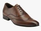 Teakwood Leathers Brown Solid Oxfords Men