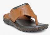 Teakwood Tan Sandals Men