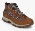 Timberland Brown Out Door Shoes Men