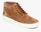 Timberland Brown Sneakers Men