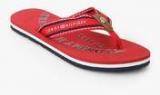 Tommy Hilfiger Red Flip Flops Women