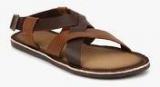 Tortoise Brown Sandals men